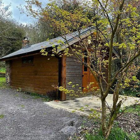 Little In The Woods